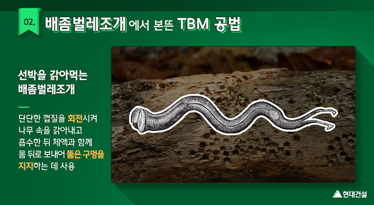 배좀벌레조개에서 본뜨느 TBM 공법 (선박을 갉아먹는 배좀벌레조개 : 단단한 껍질을 회전시켜 나무 속을 갉아내고 흡수한 뒤 체액과 함께 몸 뒤로 보내어 뚫은 구멍을 지지하는 데 사용)